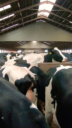 34K views · 588 reactions | Manure Clean Machine | Jason & McGrath | Facebook