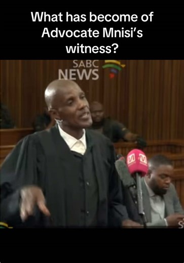 Advocate Mnisi's Witness Goes Missing in Court Case