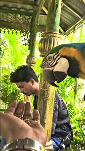 Hyderabad’s Amazing Eco Park 🌿🦜 | Kotwalguda Eco Park #shorts #trending #viral