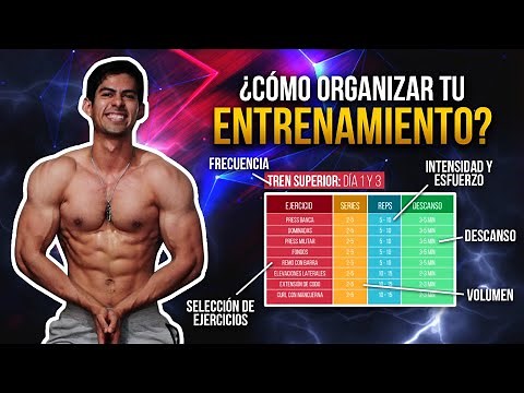 CÓMO ORGANIZAR TU RUTINA DE ENTRENAMIENTO / GUÍA COMPLETA