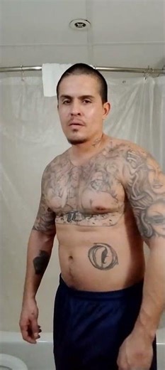 flexing muscles & tattoos #tattoo #muscle #fitness #fun #california