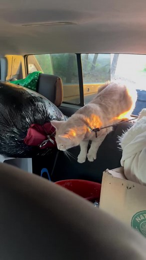 kathryn Aton (@kathryn.aton)’s videos with original sound - kathryn Aton