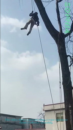 Safe Tree Climbing with Ropes