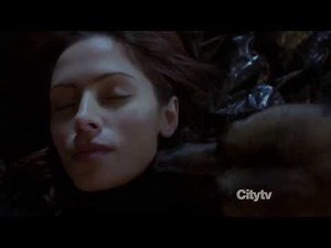 Person of Interest: Shaw and Bear