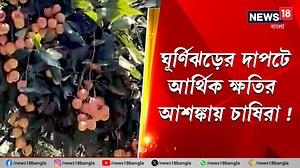 19K views · 256 reactions | Agriculture Damage | Cyclone Remal Update : ঘূর্ণিঝড়ের দাপটে আর্থিক ক্ষতির আশঙ্কা করছেন চাষিরা ! #WeatherUpdate #WeatherForecast #RainAlert #Rain #rainydays #todayweather #kolkataweather #westbengalweather #WestBengal #News18Bangla #BanglaNews #WestBengalNews #agriculturedamage | News18 Bangla | Facebook