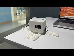 EmoPus: Providing Emotional and Tactile Comfort with a AI Desk Companion Octopus