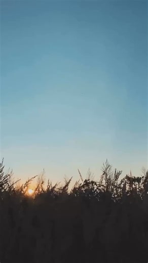 The emotional and psychological dimensions of pain are powerful determinants of patient outcomes. Engaging with these aspects can unearth underlying issues contributing to chronic pain. Encouraging patients to envision their lives post-recovery invites a positive mindset and diminishes the psychological fatigue associated with prolonged pain management. Practitioners are urged to facilitate discussions about the patient’s life without pain, fostering an environment of hope and possibility. | Fre