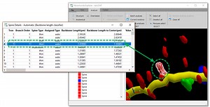 Neurolucida® Explorer