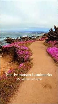 San Francisco attractions | Beyond the Bridge