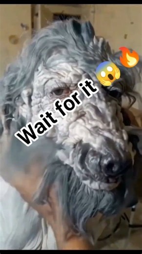 “Epic Flip Moments That Will Surprise You 🤯🔥”