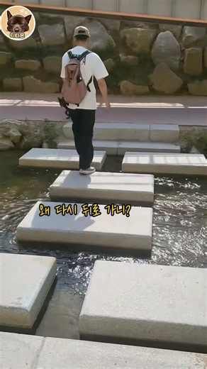징검다리 못 건너던 강아지… 결국 해냈다 티티몬🐶🔥 (결말 있음) #puppy