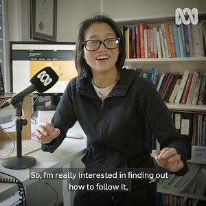 54K views · 97 reactions | What's your morning routine? This Working Life's Lisa Leong looks at whether we can improve our lives by getting up earlier. This is the first episode of a new series where Lisa explores how we can make our daily routines work for us. #ThisWorkingLife #morningroutine #coffee #yoga #wakeup | ABC Radio National | Facebook