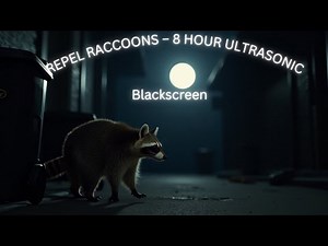 8 Hour Raccoon Repellent Sound | Ultrasonic High Frequency | Repel Raccoons – No Light | Blackscreen