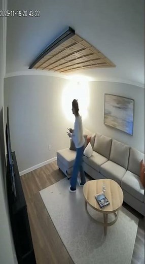 Guard Cat Saves Woman From Ceiling Collapse CCTV