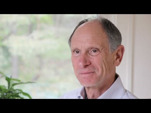 Why Meditate? – Explained by Joseph Goldstein