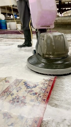 Working Hard...#rugwashing #rugcleaning #rugs #oddlysatisfying #satisfying #trc
