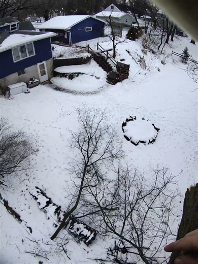 LEANING TREE HOME PROJECT #management #tree #land #skill #tool #power #tech #learn #diy #tip #trick