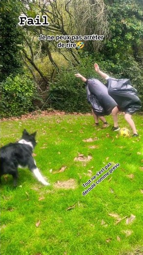 Avons-nous l'air d'autruches? 😅🤣 #fail #funny #autruches #tiktok