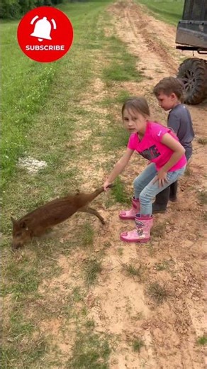 Piglet on the Run 🐗😂 Bayou Life Chaos with Kids & Dogs