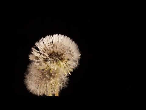 Selected Verses - Surah 23 (al-Mu'minun) - Verses 110-114 #shorts