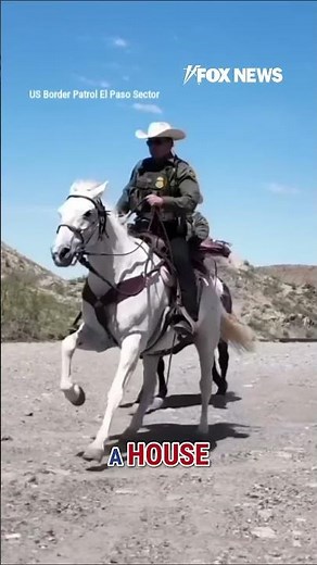 Border Patrol releases satirical ad playing on Sydney Sweeney controversy #shorts #foxnews #news