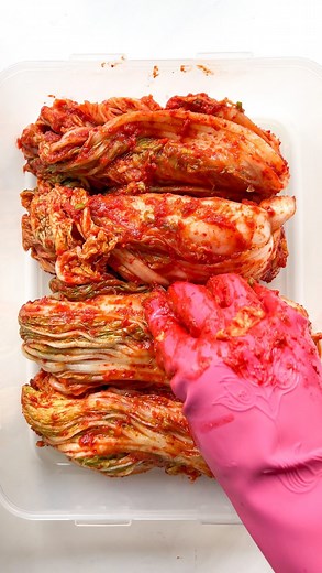 Theresa on Instagram: "Kimchi pt. 3 ✨Umma’s Napa Cabbage Kimchi✨ Okay, my mom is a beast in the kitchen but THIS KIMCHI omg this kimchi is one of the best things she makes (if I had to pick one 👀) It’s a simple, no frills, kinda kimchi. Not super funky, but tons of flavor, well-balanced, spicy, tangy, salty, and a hint of sweet - just like umma :) love u Ingredients *1 Napa Cabbage *1 cup Coarse Sea Salt (divided) *6 cups Water Kimchi Paste *1/2 Asian Pear or Apple *1/2 Yellow or White Onion *1