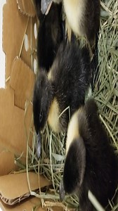 56 reactions | It's the beginning of the week. That means a new...