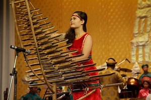 Beberapa jenis instrumen musik Vietnam  melalui konser musik tradisional Vietnam