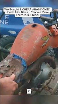 We Bought 8 CHEAP ABANDONED Honda Mini Bikes... Can We Make Them Run & Ride #HondaMiniBike #Abandone
