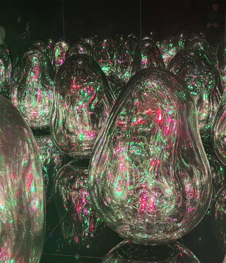 Magical Experiences at teamLab Kyoto