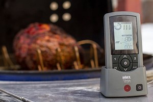 How To Use The Weber Style Wireless Thermometer | Burning Questions
