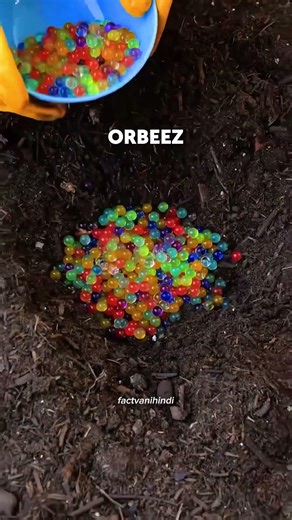 Top Secret Plant Hacks That Actually Work 🌸😱