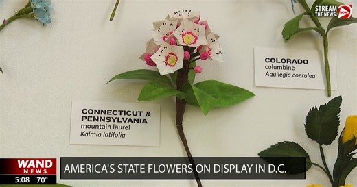 America's state flowers are on display in the nation's capital