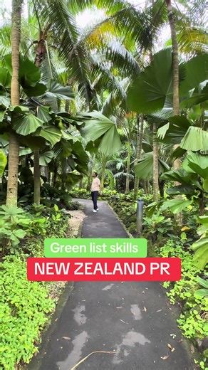 Green List Skills for New Zealand Work Visas and PR