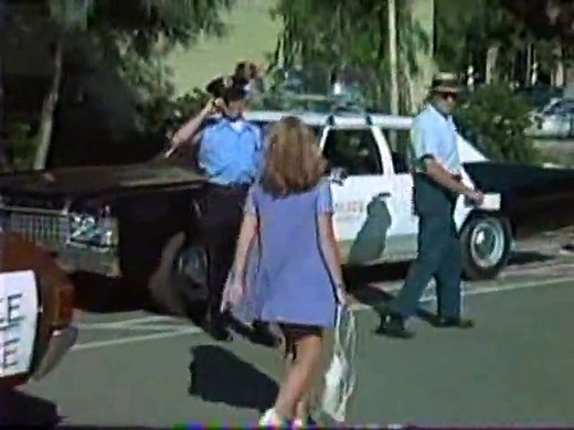 Gidget Gets Married (1972) 2/2