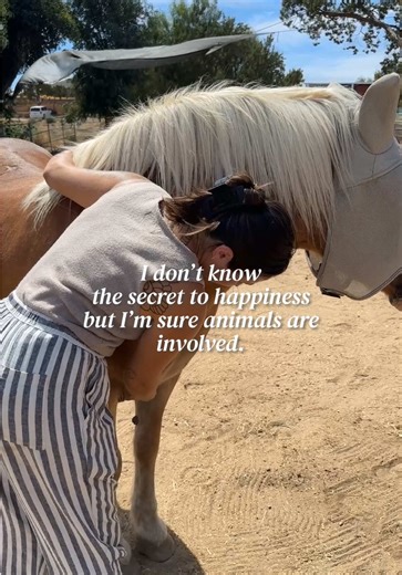 Sometimes the best healers aren’t even human. When developing Hope Ranch we knew we wanted animals to be a primary source of healing for those who walk through our doors. Animals remind us of our inherent nature, our connectedness with our environment, and they show us how to care for something outside of ourself and our addiction. They don’t judge. They only love. They listen and feel the warmth of your words even if they don’t understand. If recovery never worked for you in the past, maybe it’