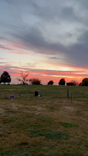 Day 3 Grateful Series… Finding Light in the Fall Back. Gratitude doesn’t disappear when the light fades — sometimes it just shifts. What’s something you’re grateful for as the days get shorter? Hashtags: #GratefulNovember #GratitudeJourney #griefjourney #EmbracingTheSeasons #FallBackGracefully #fallback | Monica Lynn Perkins