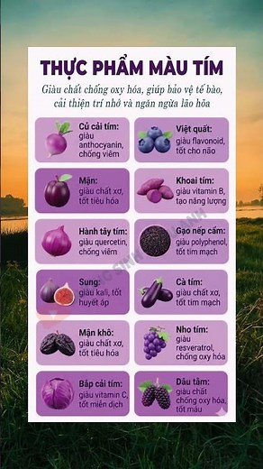 Thực Phẩm Màu Tím – Bí Quyết Chống Oxy Hóa, Làm Chậm Lão Hóa Tự Nhiên