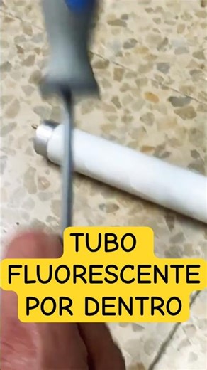 What's inside a fluorescent light bulb? 🧪 #Shorts