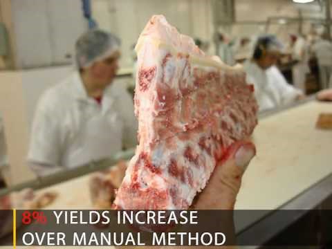 Chine Bone Removal Machine