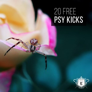 Synthwave Sample Pack Free Serum Download