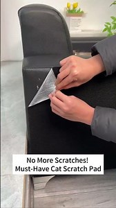 Stop Cat Claws from Damaging Your Sofa Today