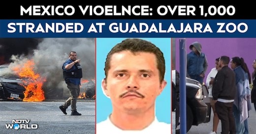 Over 1,000 Stranded At Guadalajara Zoo Amid Cartel Violence