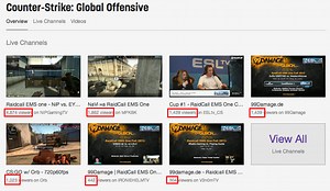 Fake Twitch Followers