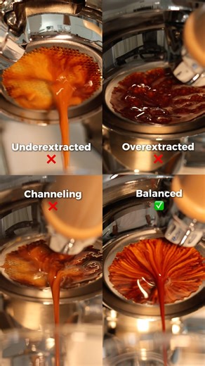 4 Types of espresso extraction. Each one tastes completely different.