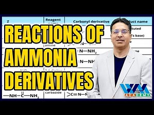 Reactions of Ammonia Derivatives | F.Sc | MDCAT I NCERT | CBSE Board | JEE | NEET I Wajid Ali Kamboh