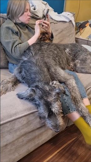 Cozy Mom’s Visit: My Mom, Two Dogs, and Lots of Love ❤️