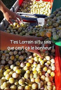 Le soleil Lorrain.. il existe 😉 Vivement ! 🤤 | Le Lorrain