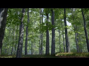 Unreal Engine forest street trees