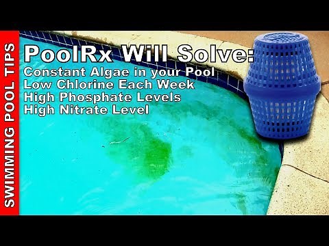 PoolRx will Solve: Algae Every Week, Constant Low Chlorine Levels, High Phosphates